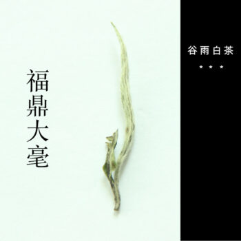 a bud of Guyu white tea